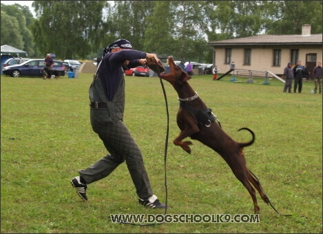 Training camp - Lukova 2007